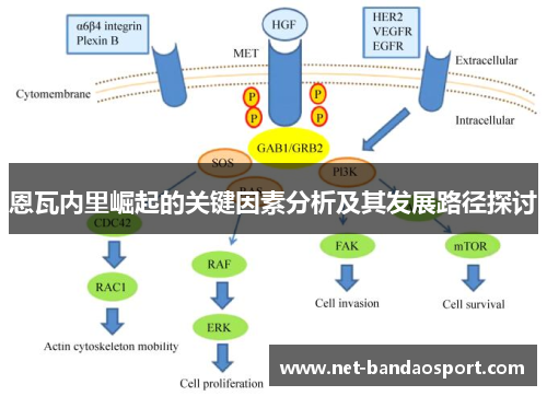 恩瓦内里崛起的关键因素分析及其发展路径探讨