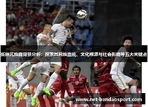 张琳芃族裔背景分析：探索其民族血统、文化根源与社会影响等五大关键点