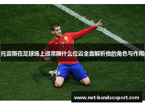 托雷斯在足球场上通常踢什么位置全面解析他的角色与作用