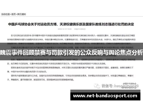 魏震事件回顾禁赛与罚款引发的公众反响与舆论焦点分析